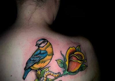 Blue Tit with Rose Tattoo