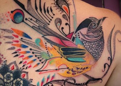 Colourful Mockingbird