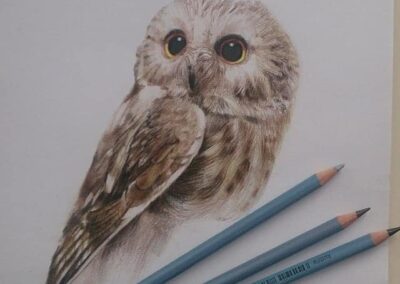 Owl Service Sketch