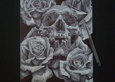 Skull and Roses Sketch